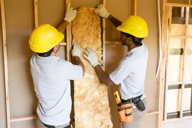 Reliable Mount Zion, IL Insulation Removal & Installation Solutions